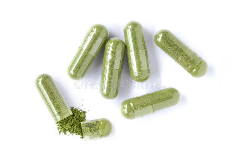苍蝇粉官网