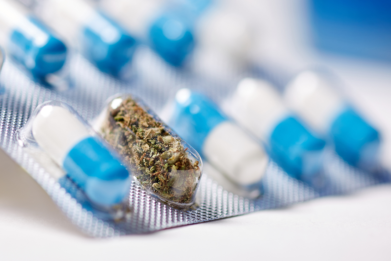 红蜘蛛女士专用药官网